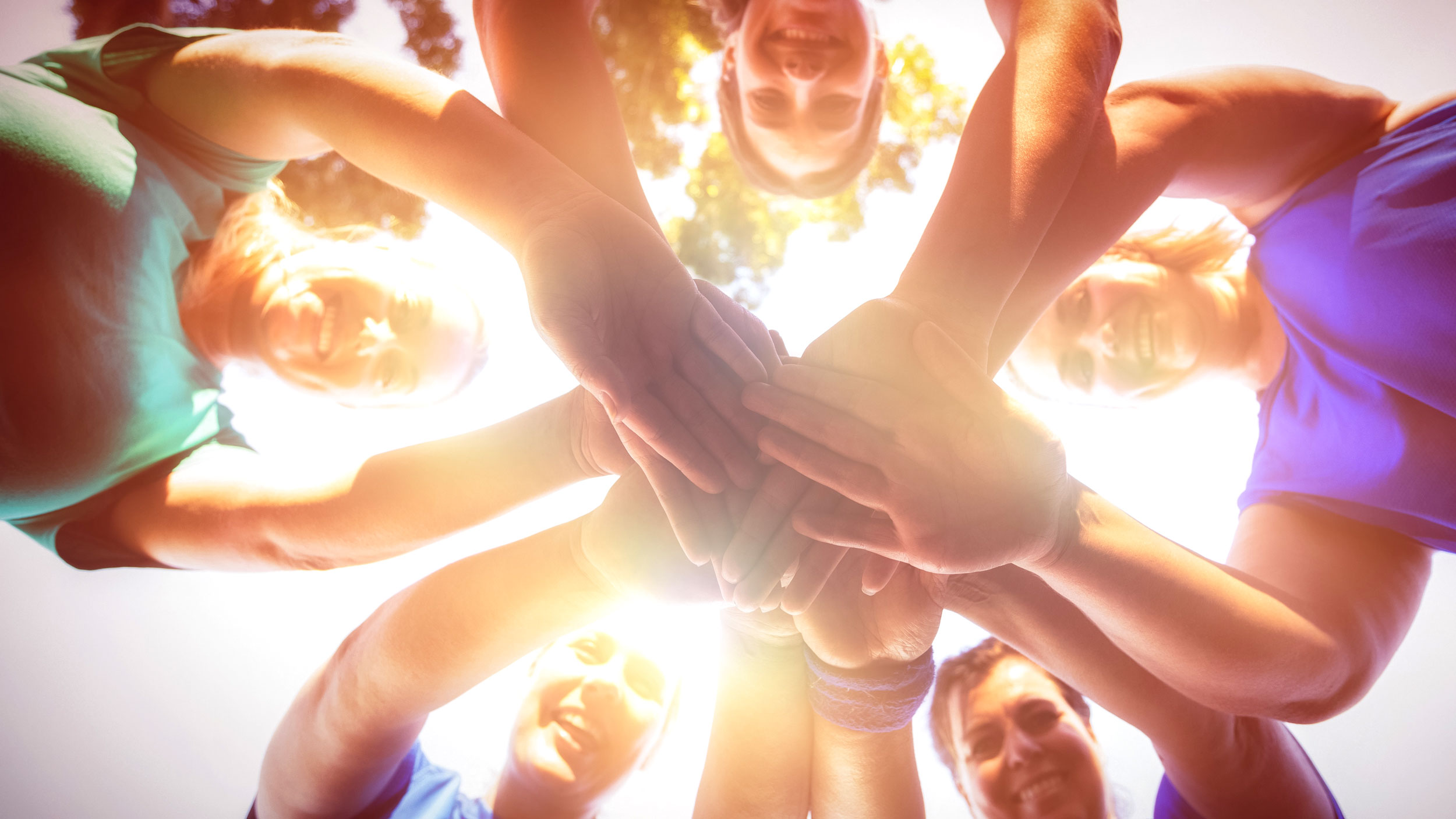 ©vectorfusionart – stock.adobe.com