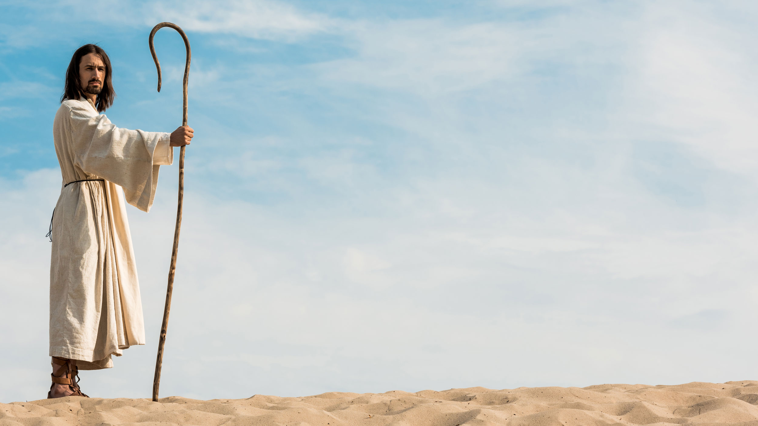 ©Lightfield Studios – stock.adobe.com