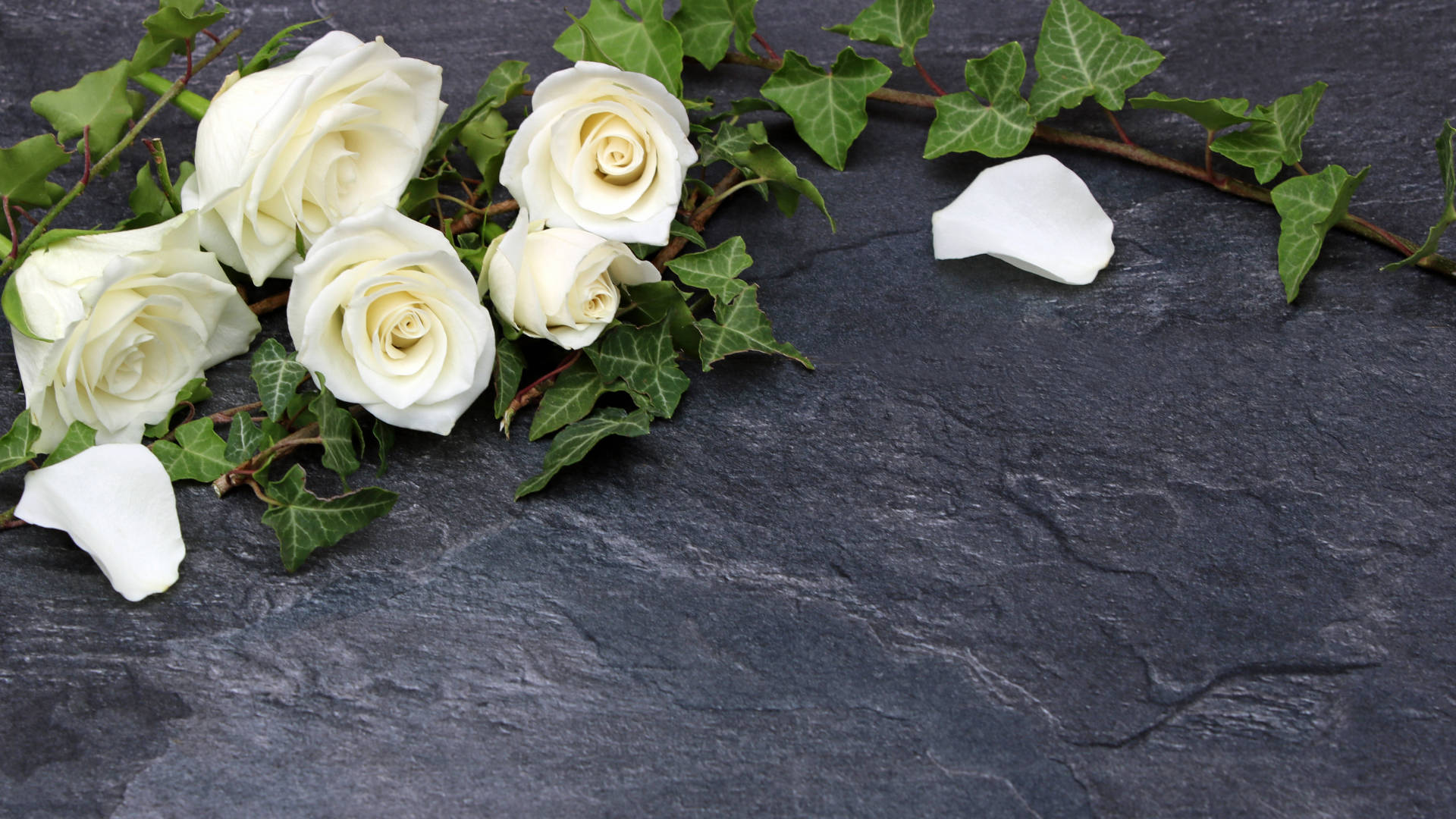 „Damit ihr Licht für immer leuchtet!“ Bild „Damit ihr Licht für immer leuchtet!“