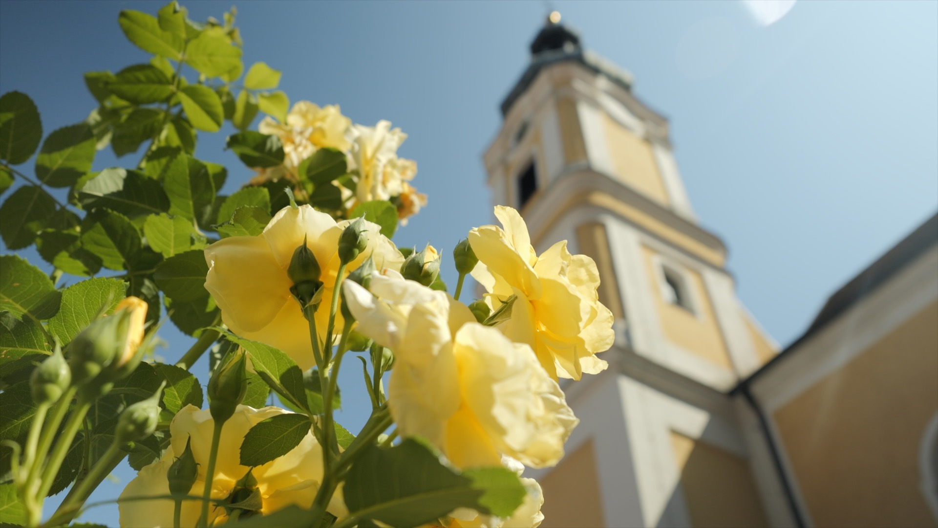 Die römisch-katholische Kirche St. Michael in Kallmünz 