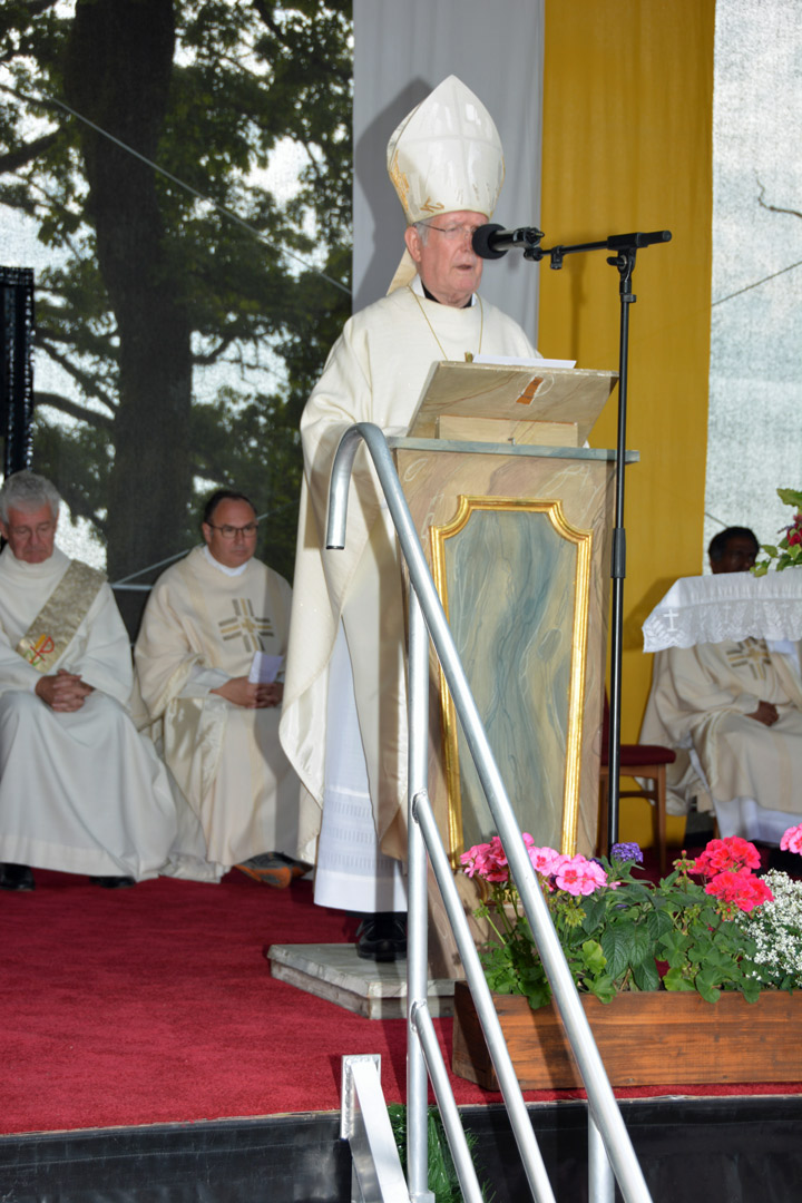 Eichlberg | © Markus Bauer