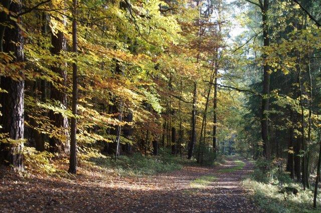 Ein Wochenende nur für dich Bild Ein Wochenende nur für dich