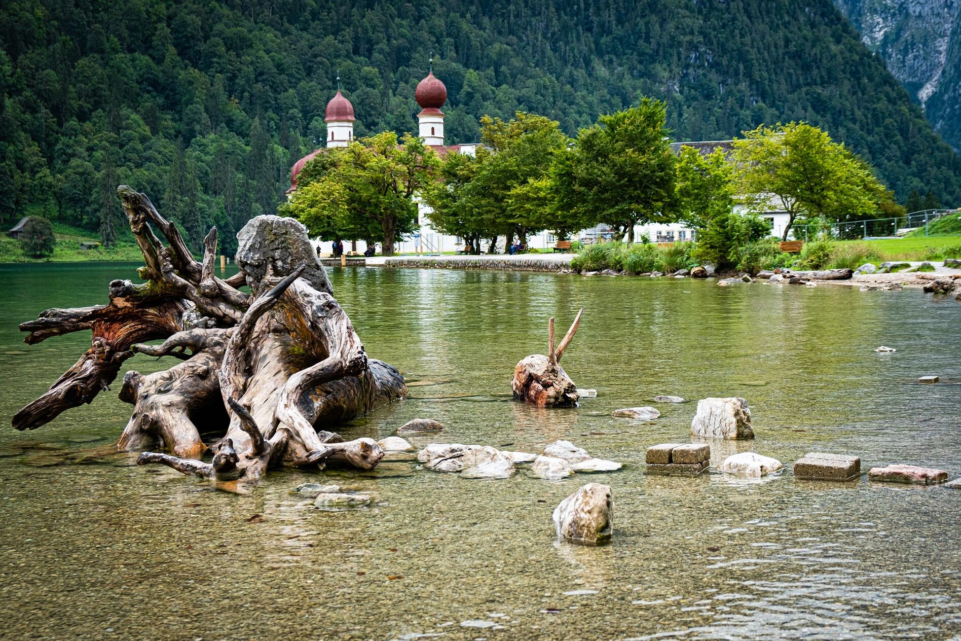 Abgestorbener Baum am Ufer des Königssees mit Blick auf St. Bartholomä